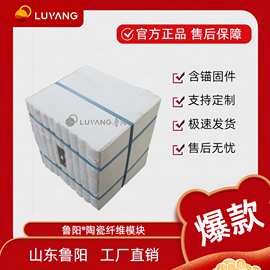 山东鲁阳耐火防火隔热保温陶瓷纤维模块 吸音降噪硅酸铝纤维模块