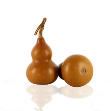 ���l��Ȼ�����Ϻ��J��Ʒ��С����������{�F������Ƥ���f�ղؔ[��