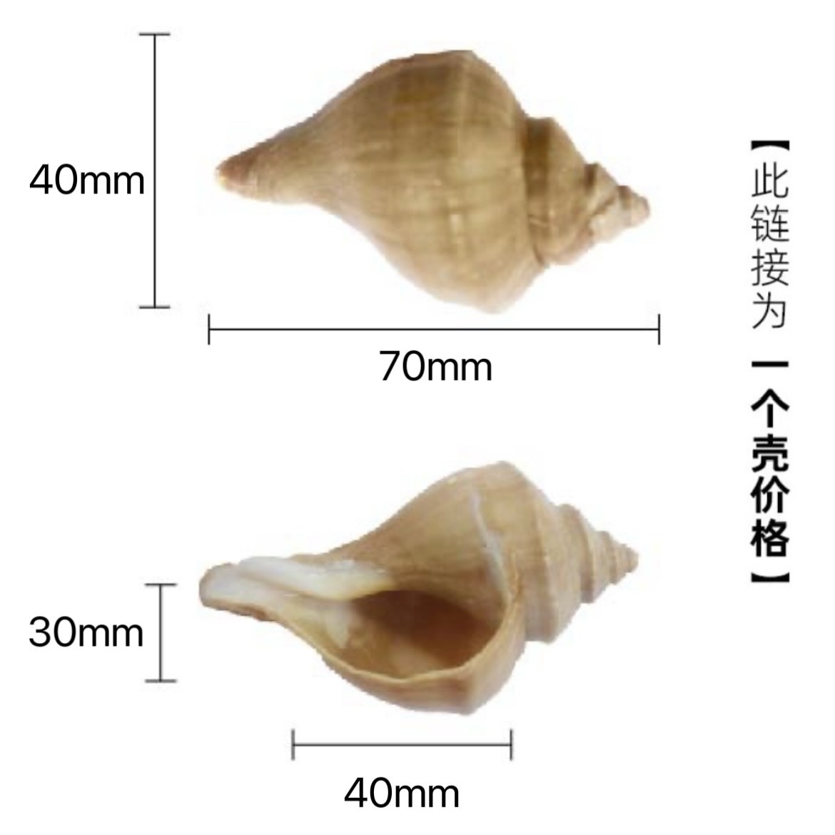 볼록한 고리 E Luo [7-8cm 게에 적합]