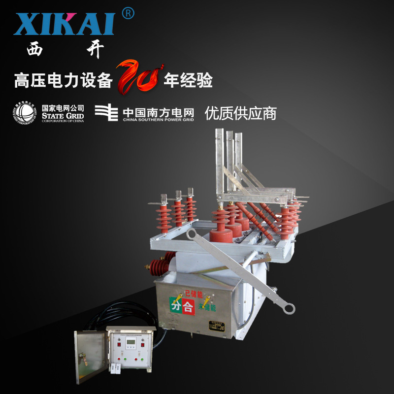 厂家直销现货供应户外真空断路器高压双电源互投装置真空断路器