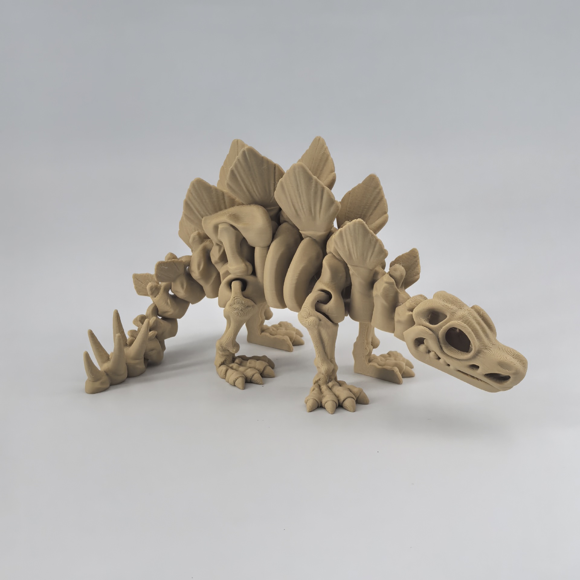 스테고사우루스 - 고전적인 화석 색상