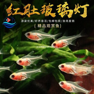 �t�ǲ������~���w͸�����~�Ꭷ�~�^�pС�Ͳݸ׵�ˮ����С�~���B�~