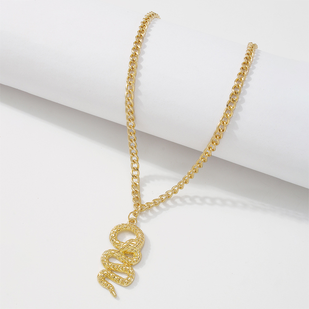 European And American Cross-border Jewelry Single-layer Simple Punk Snake-shaped Necklace Retro Necklace display picture 8