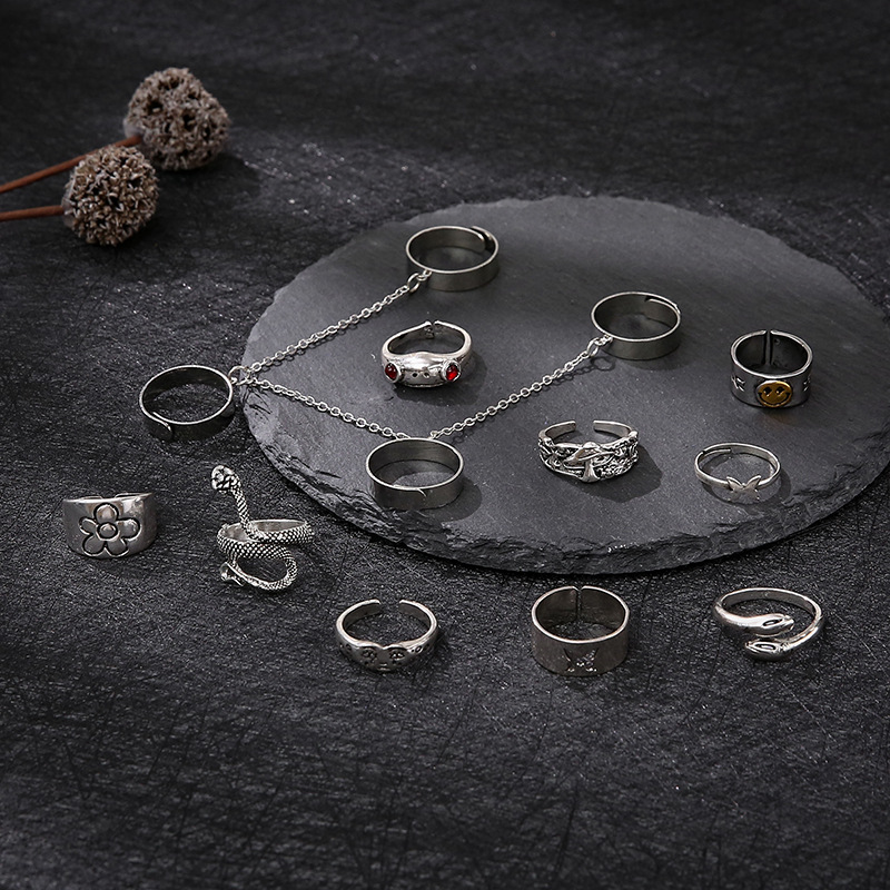 Cross-border New Ring 13-piece Set Bohemian Style Ring Chain Butterfly Frog Snake Ring display picture 5