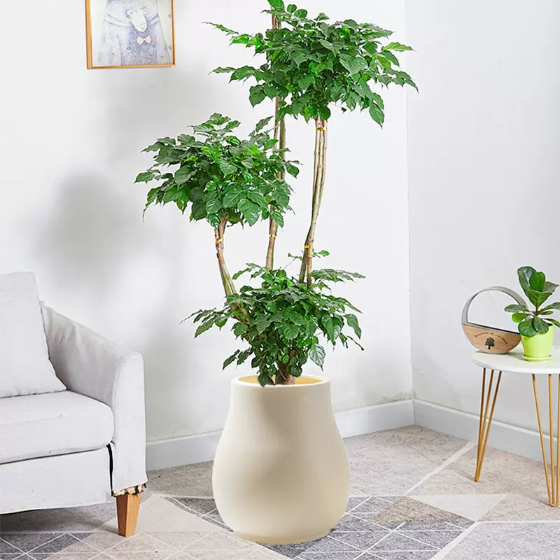 厂家批发仿水泥大口径塑料花盆大型仿真树假花装饰盆落地盆可蓄水