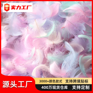 �R������ɫС��ëС�h�Zë��Y���ջ����̨�bY�����������l