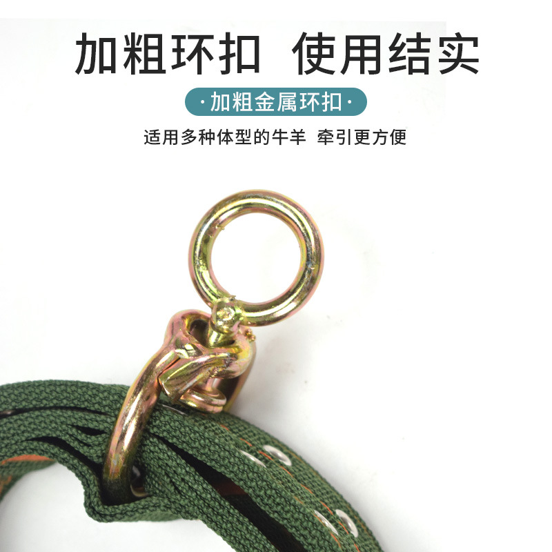 Cabeza de jaula de buey, cuello de buey, cuello de buey