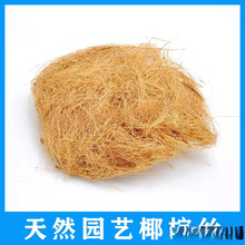 海南防虫面盆盆栽艺用椰铺面装饰植物天然椰壳棕丝填充物石