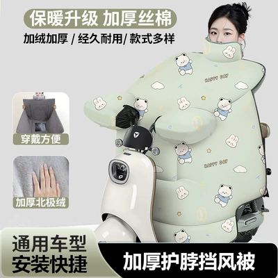 Winter, Suitable for All Seasons, Motorcycle front windshield - blue-bear-in-celadon-green