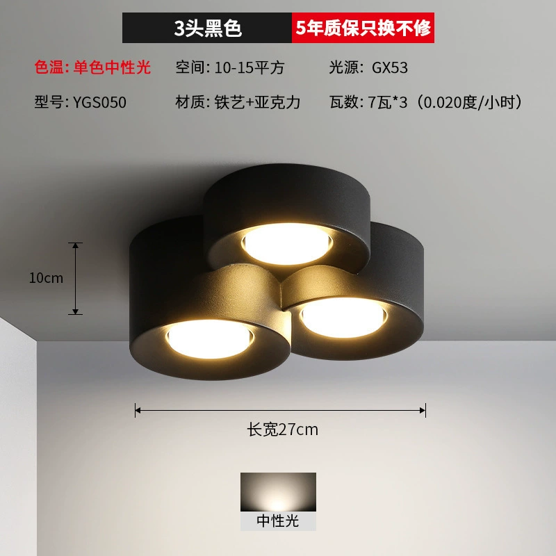 Mounted modern and minimalistic lights for corridor, ceiling light, LED lamp