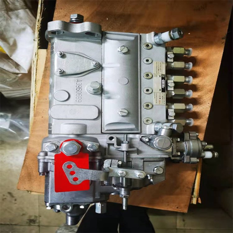 u=932256404,3561265704&fm=