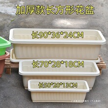 �Nֲ�������ش�̖�N����Ӻ��̨�����L���Ό���ͥԺ�B���¿��