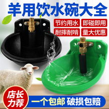 �����Ԅ��ˮ���Ӻ��T�F���P�ιˮ��ˮ���Bֳ�O���B���ˮ��