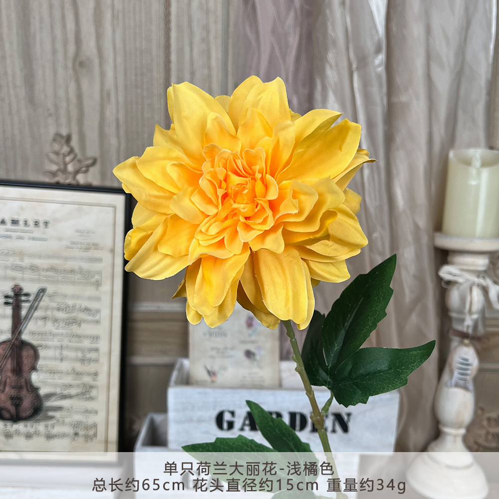 TY Cành Đơn Hoa Thược Dược Hà Lan - Cam Nhạt