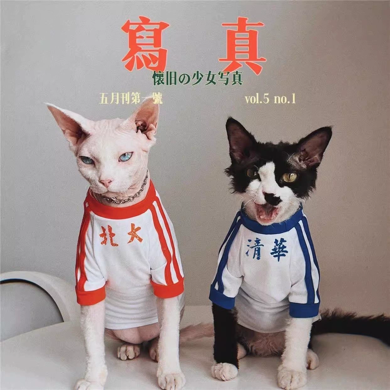 Забавная немецкая кошка, четырехногая одежда, безволосая кошка-сфинкс, тонкая ретро-одежда с короткими рукавами Цинхуа и Пекинского университета