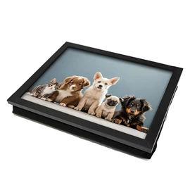 冰箱贴;徽章;金属托盘