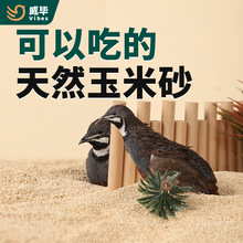 �J���u����о�|�ϰl�ʹ��R���u�ļS������ɳ�g��С�u���Ӻ���ɰɳ