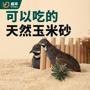 �J���u����о�|�ϰl�ʹ��R���u�ļS������ɳ�g��С�u���Ӻ���ɰɳ