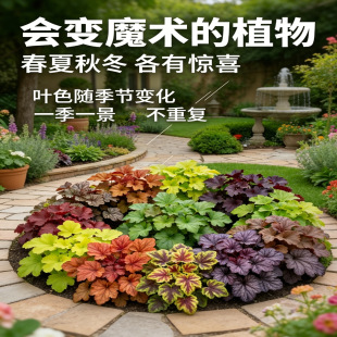 �\�����Ի���ֲ���҃Ȼ����ļ������^�~�ͺ��GֲͥԺ�ر��G������