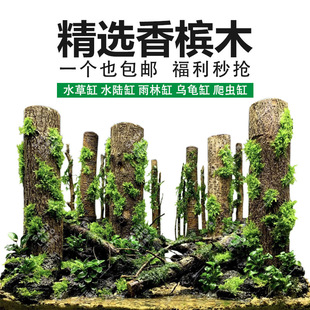 鱼缸沉木森林树干水草造景木树枝雨林缸装饰乌龟缸杜鹃根香垒德株-阿里巴巴