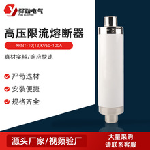 高压限流熔断器XRNT-10(12)KV50-100A保险管高压限流熔断器互感器