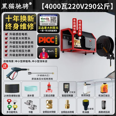 Car washing machine Wash Shop Wall-Mounted High-Power Cleaning - italian-brand-pump-head-220v40kw-290kg-pressure-20m-steel-wire-pipe-automatic-pipe-retractor