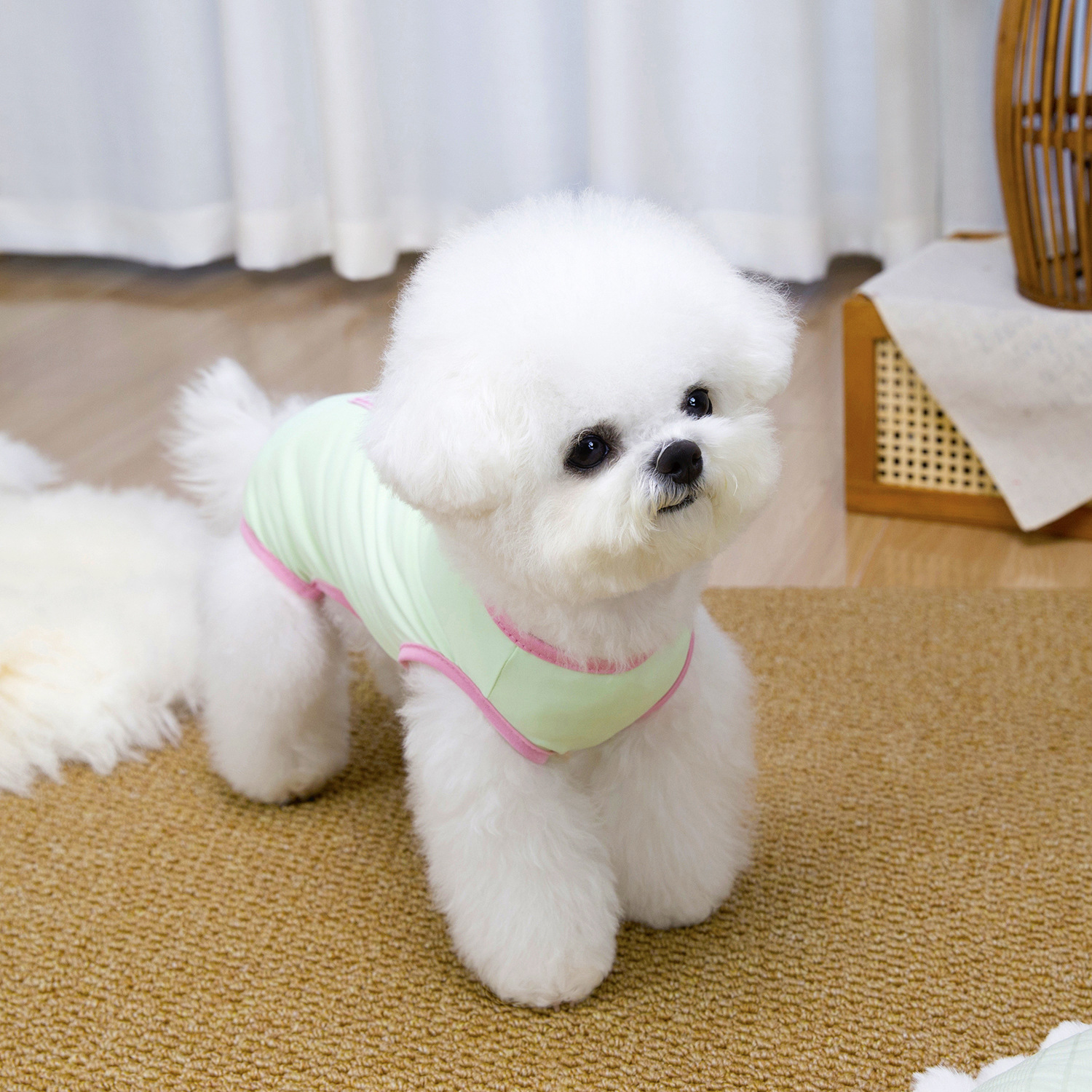 Chaleco de verano transpirable para perros, ropa ligera sin mangas_voghion.com