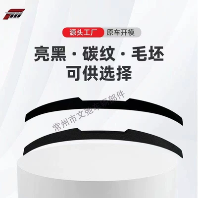 Fixed wind wing Series F30 Special Modified Tail