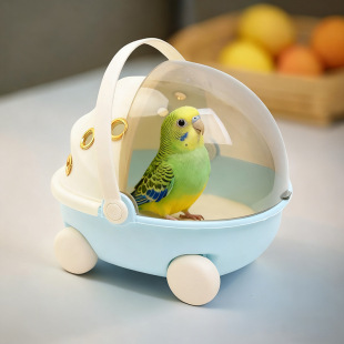 �W�^������⎧�\��y�������P��Ƥĵ�������B�\USB�ӟ�a�ظC