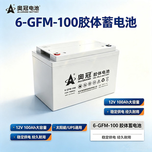 �W����늳�6GFM-100�U���L����12V100AHֱ����̫����ƿ����