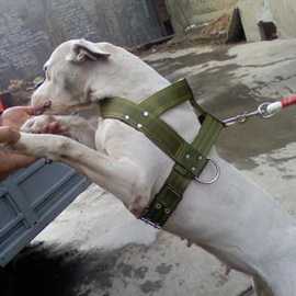 狗胸背带中型大型犬比特犬拖重带负重训练装备铁链雪橇狗拉车背带