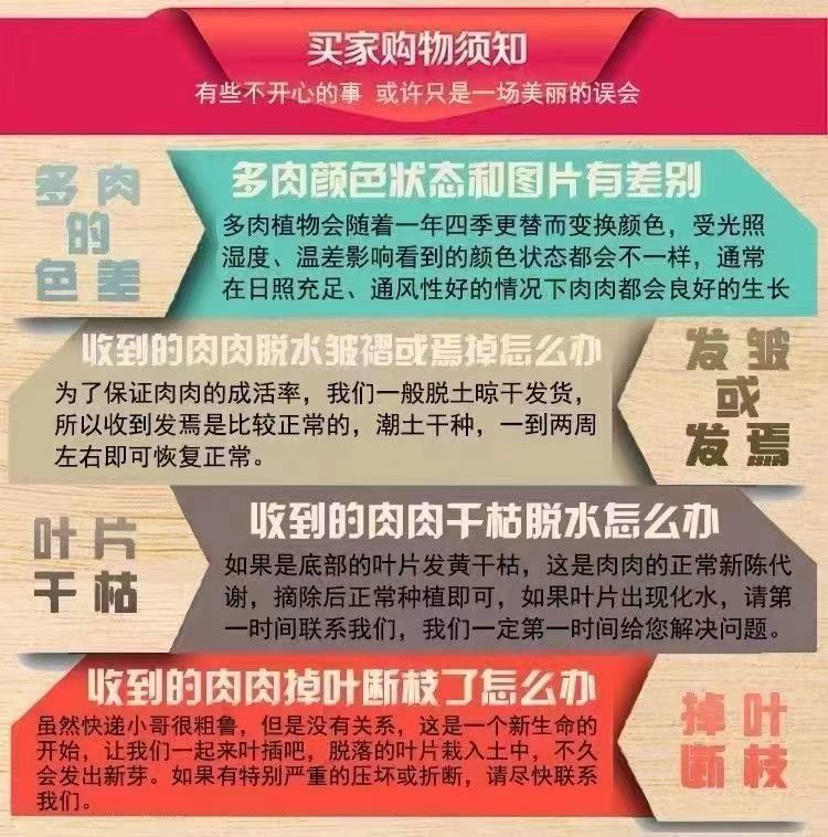 724a94cc-360d-4cfe-a9f8-b6c800b90805.jpe