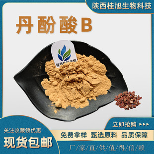 ������B10%20%40%50%60%������ȡ�� ������B �����b ������]