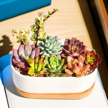 �̎����Y�����M���������bDIY�����մ����k���ҷ�ݗ��Gֲ