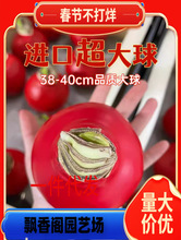 һ�����l���m�M��ʯϞ��피t��ϞС���Դ�N������r���ɷ��k����