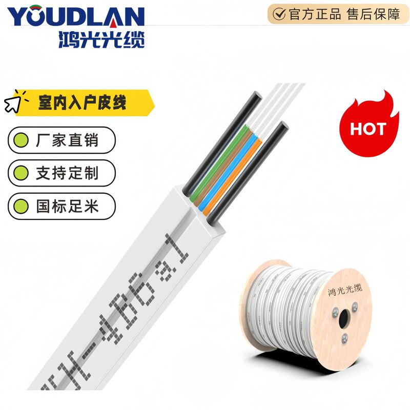 Butterfly-Shaped Optical Cable White Indoor Fiber Optic Entry Cable Gjxh-4 Core Mobile Unicom Telecom Radio and Television Four-Network Gigabit