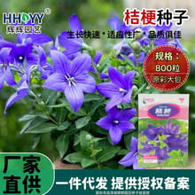 F؛l۹NKNѿ۹̨̲׳ɻF؛N