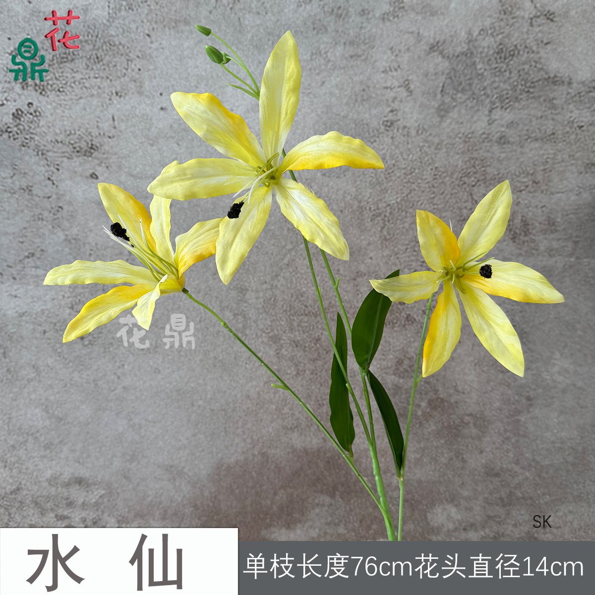 Narcissus SK Vàng