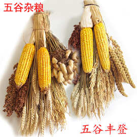 农作物干玉米棒装饰农家乐挂件辣椒串五谷杂粮摆件丰收节五谷丰登