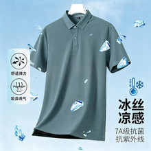 �߶�����ͨ�ڶ�����polo���ļ���˿�������polo����������������
