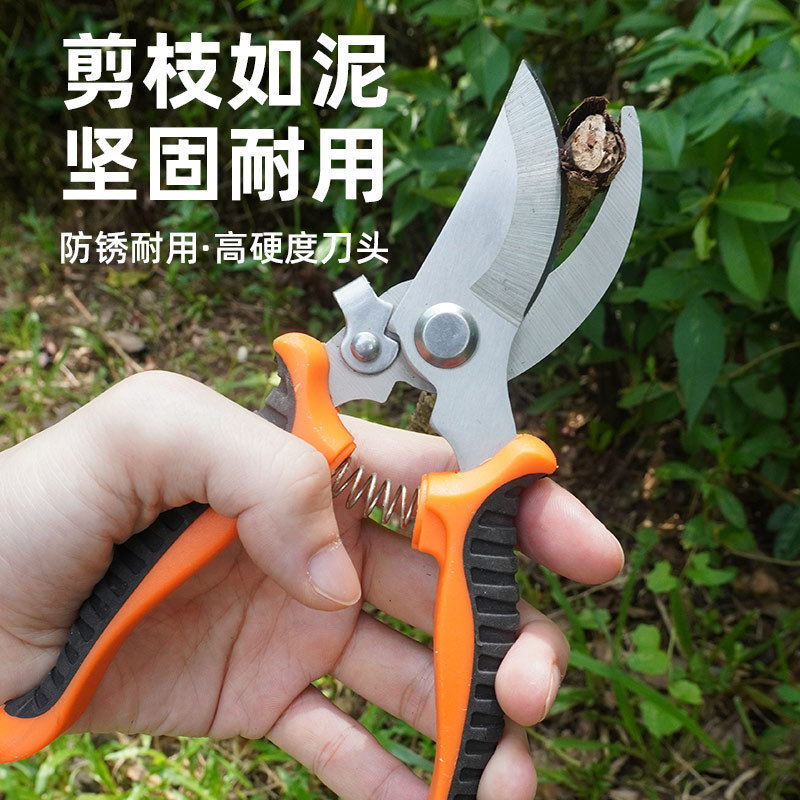 阳江厂家园艺果枝剪 多功能树枝剪 园林剪刀防滑省力手动修枝剪