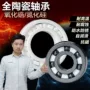 高温耐磨陶瓷内径轴承
