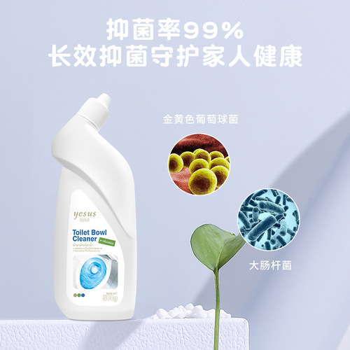 Thailand YESUS Toilet Cleaning Spirit Toilet Deodorizing Toilet Cleaner to Remove Stains 500g