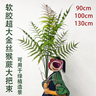ܛ�z����ާ�ֲ���z��ާ�������֧��ާ�~����Gֲ���^�Ҿ��b�