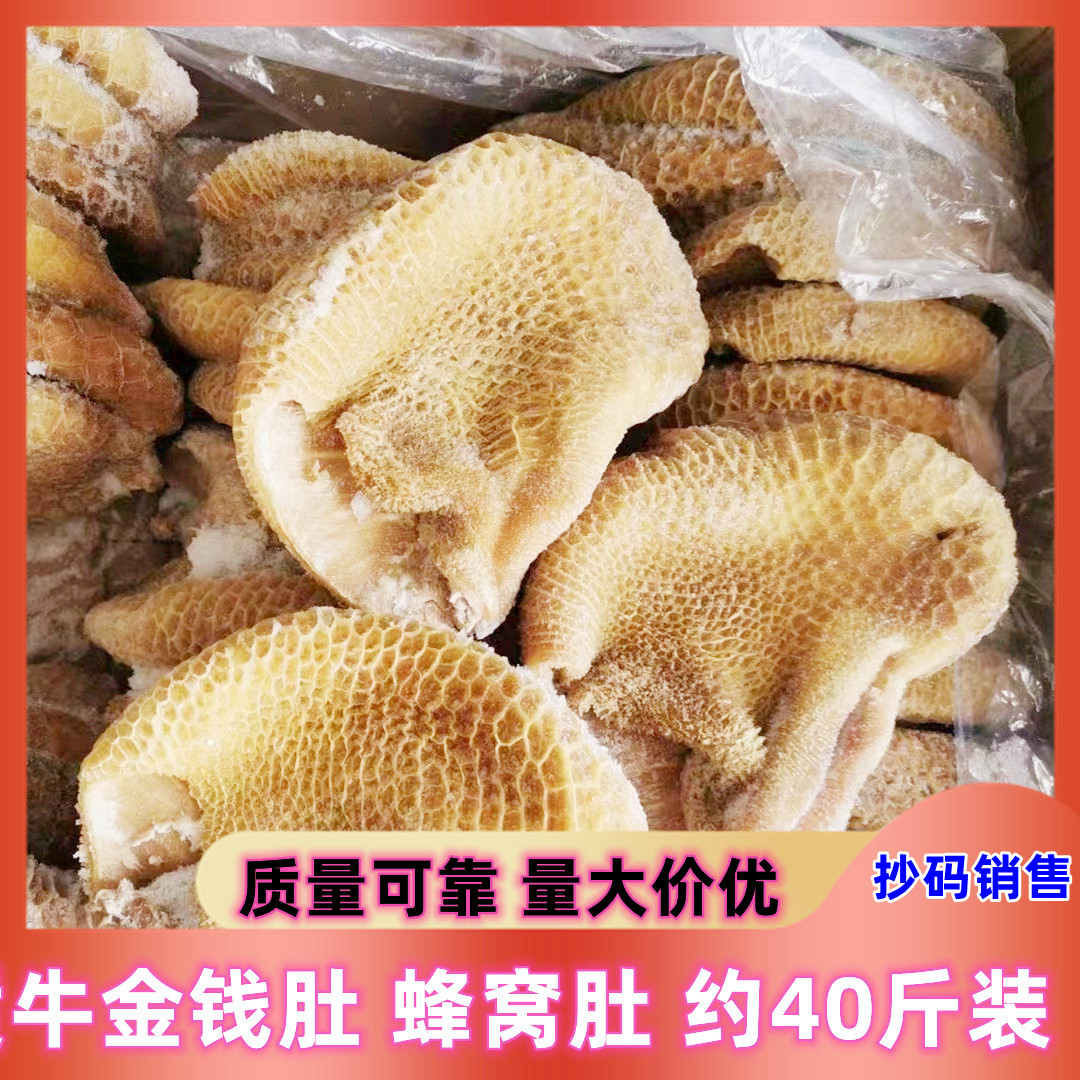 金钱肚新鲜冷冻牛金钱肚半成品熟牛肚20斤 40斤商用冻蜂窝肚生火
