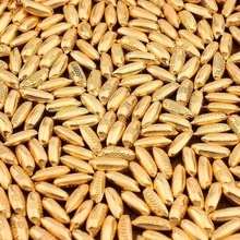 �Ͻ�����Ԫ������С�������׽�l�����[���YƷһ����Ӽ��k����c