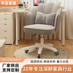 Chair Household Girl's Bedroom Dresser Makeup Chair Computer Backrest Lifting Chair