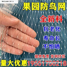 防鸟网草莓大棚果树樱桃葡萄梨树果园防鸟用网尼龙养殖网鱼塘天网