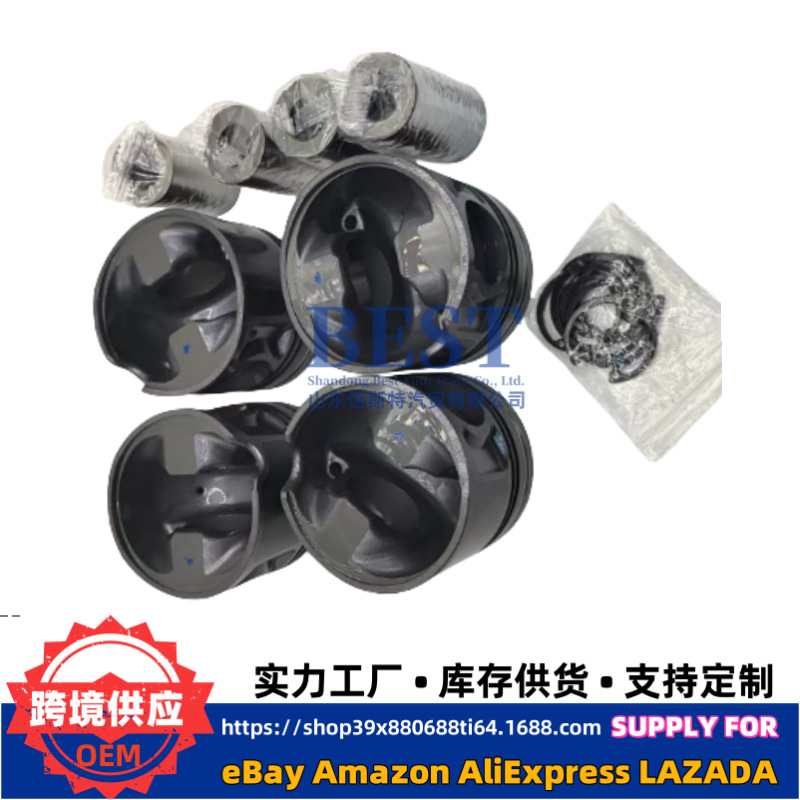 234102F970 Is Suitable for D4Hb2.2Nwe Piston with Pin 234102F980 234102F995