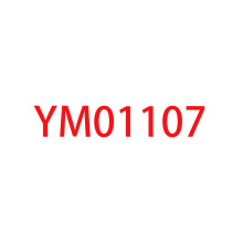 2025����ó�羳ŷ������ѷ�ļ��¿�YM01107